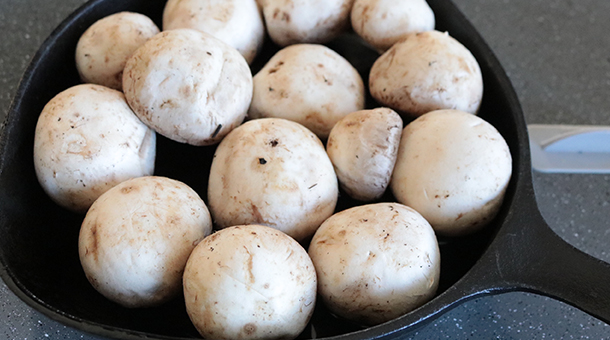 マッシュルームアヒージョ Princess プリンセス 公式オンラインストア